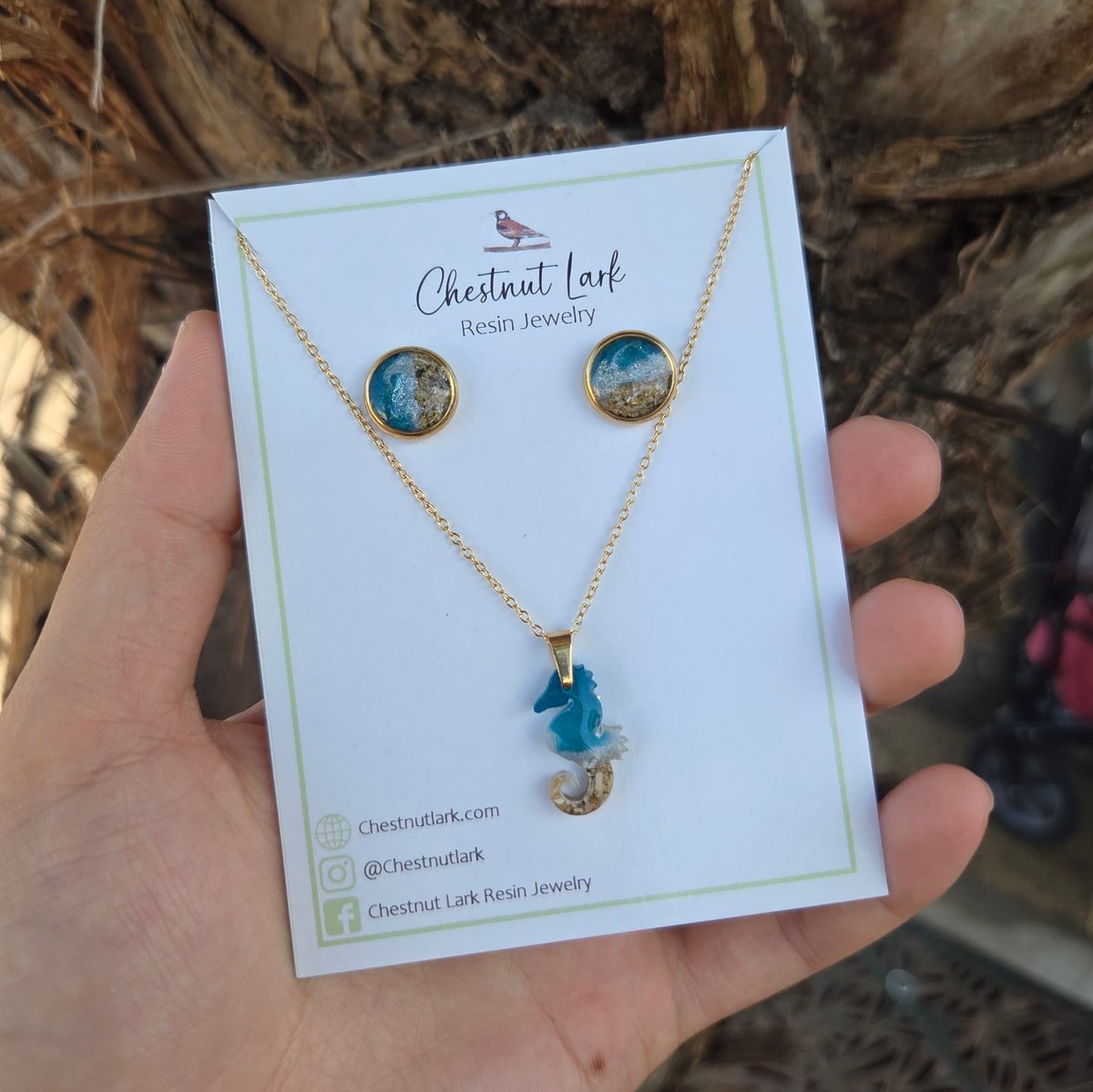 Seahorse set