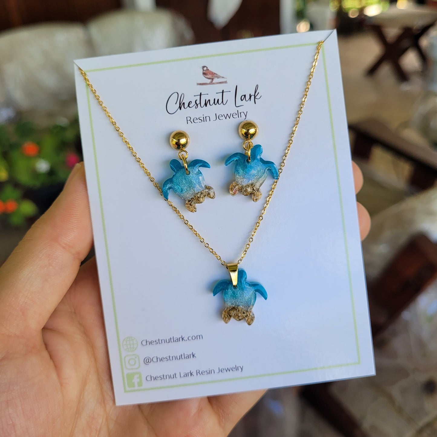 Sea color turtle set